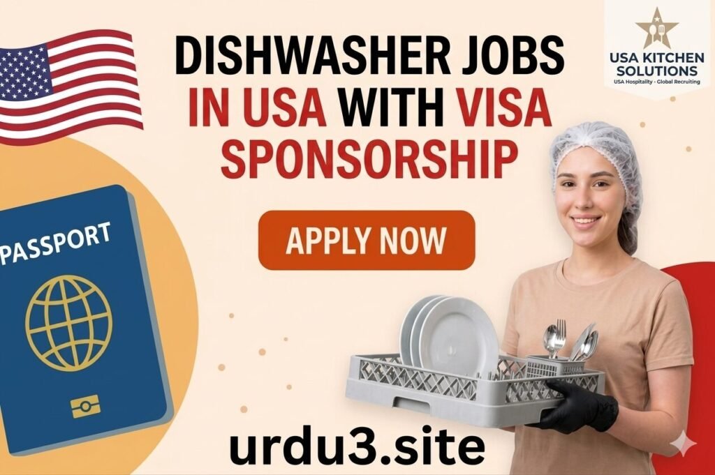 Dishwasher Job